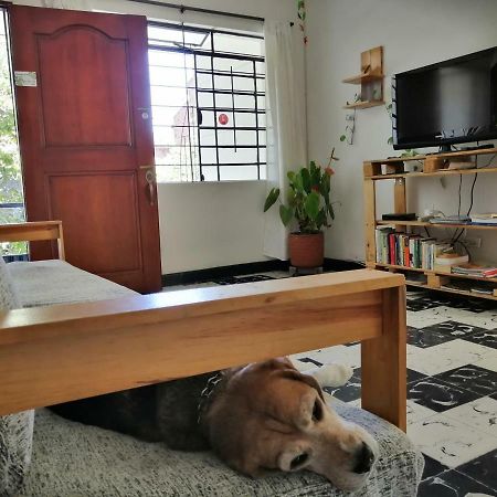 Ostello Selvática Medellín Esterno foto