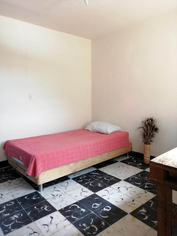 Ostello Selvática Medellín Esterno foto