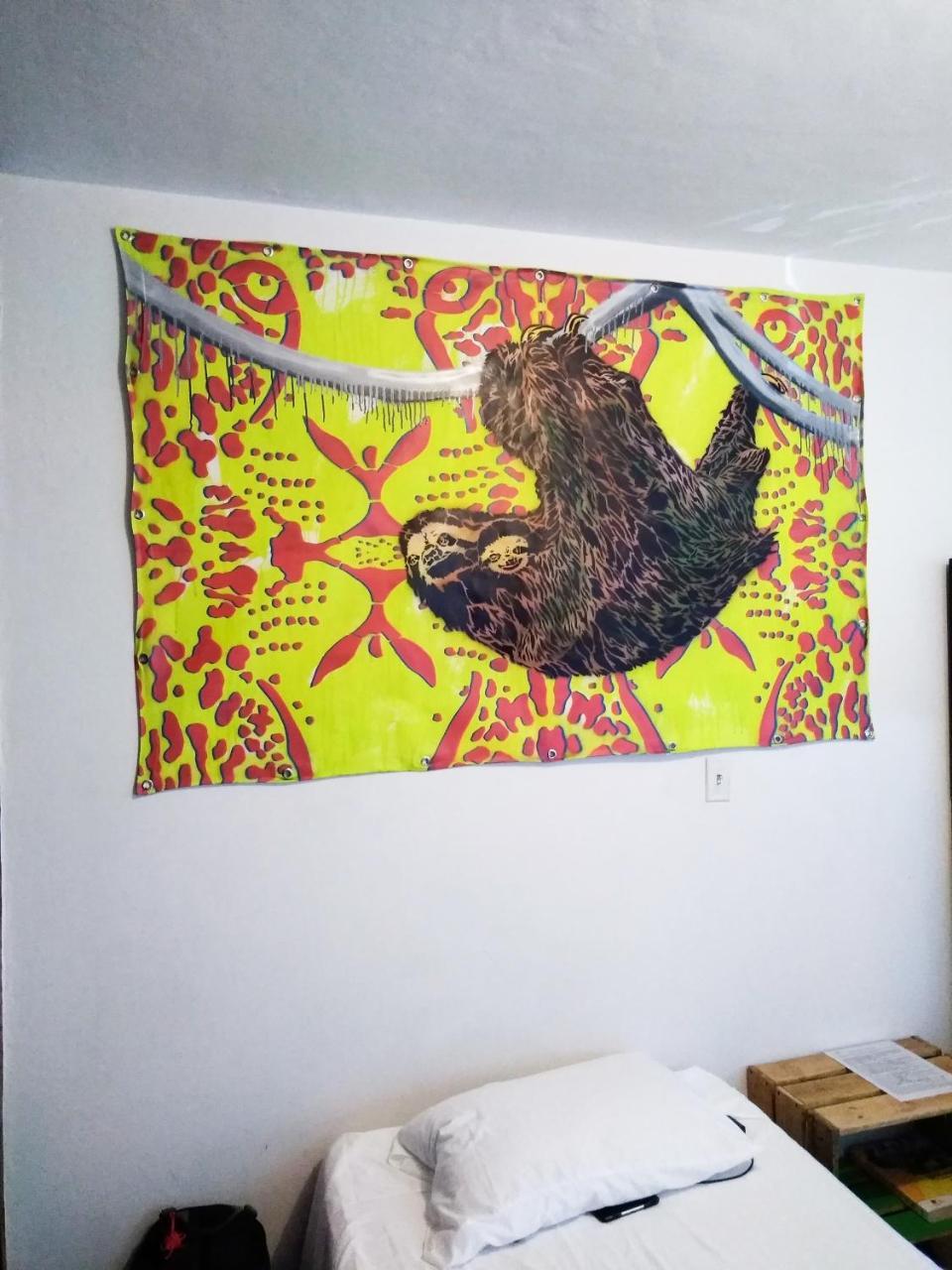 Ostello Selvática Medellín Esterno foto