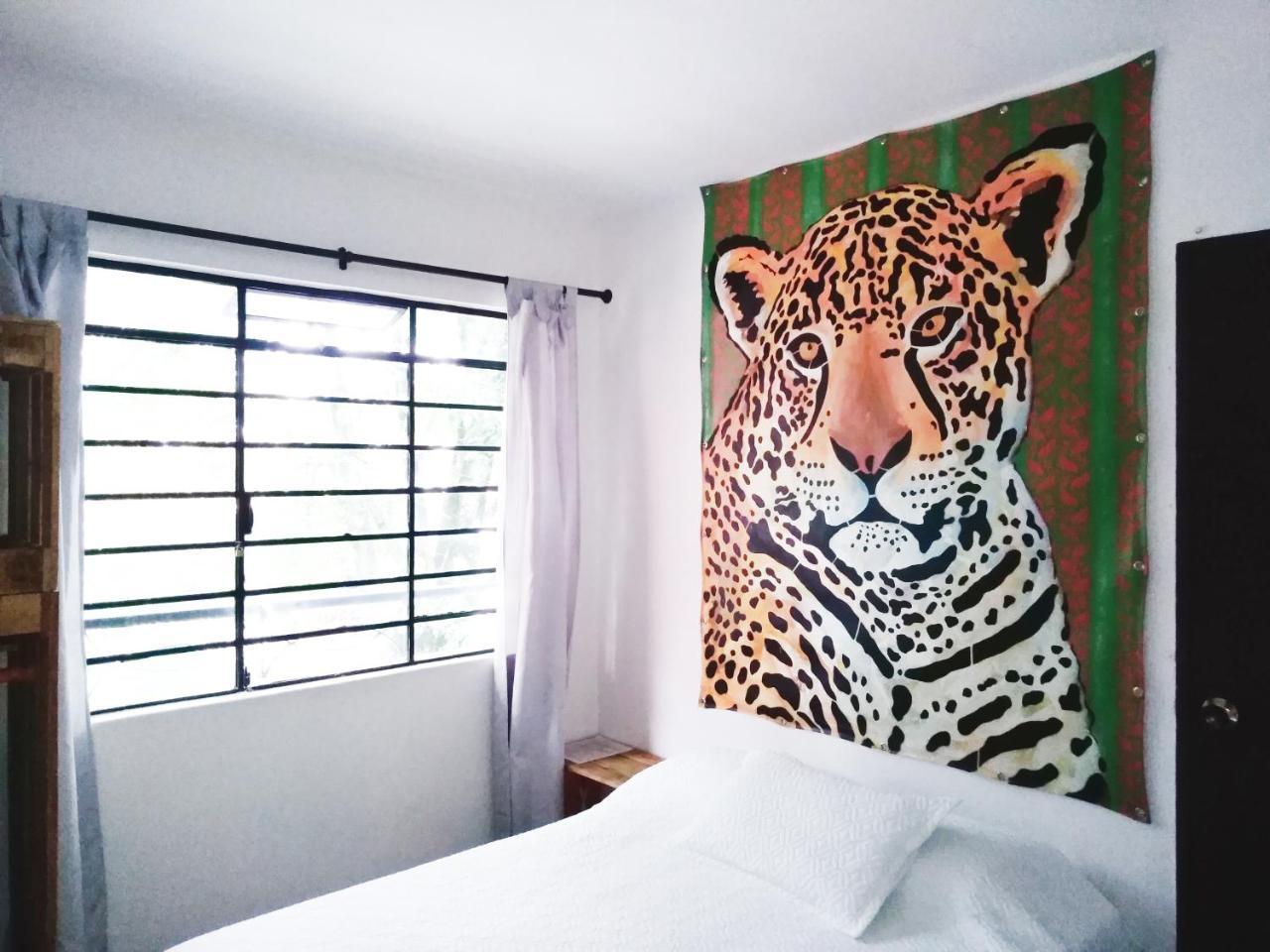 Ostello Selvática Medellín Esterno foto