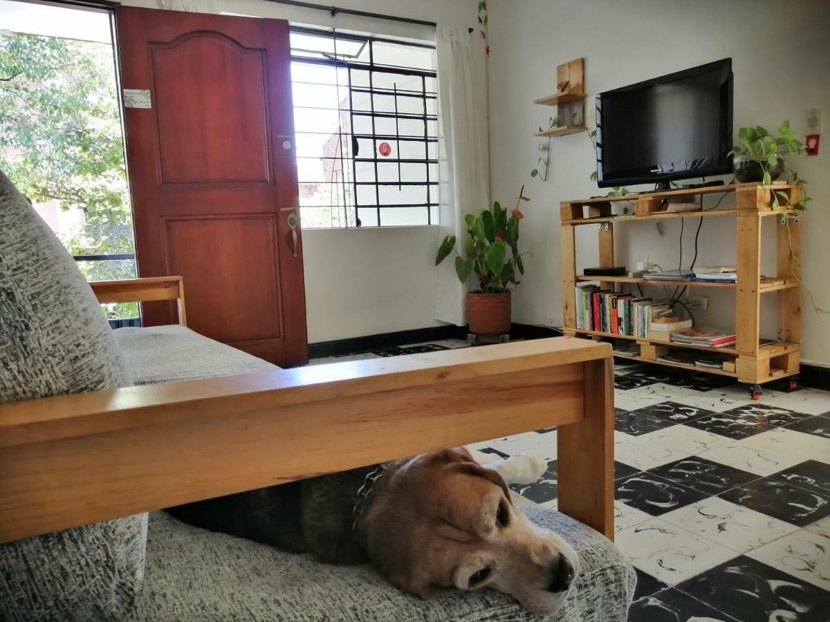 Ostello Selvática Medellín Esterno foto