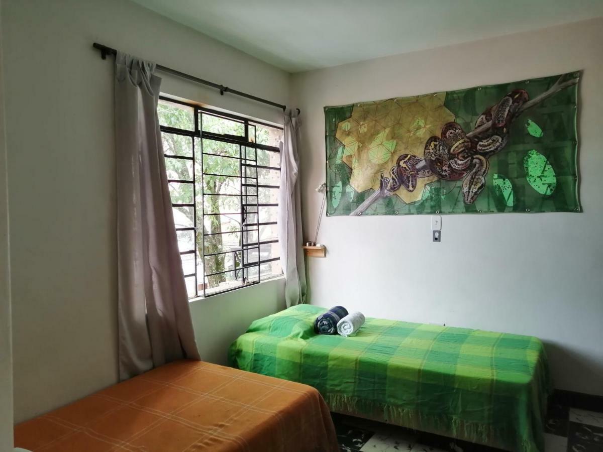 Ostello Selvática Medellín Esterno foto