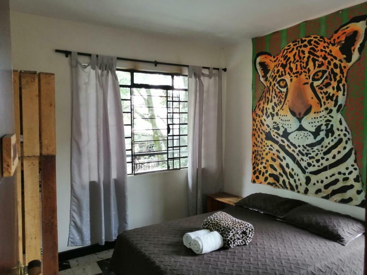 Ostello Selvática Medellín Esterno foto