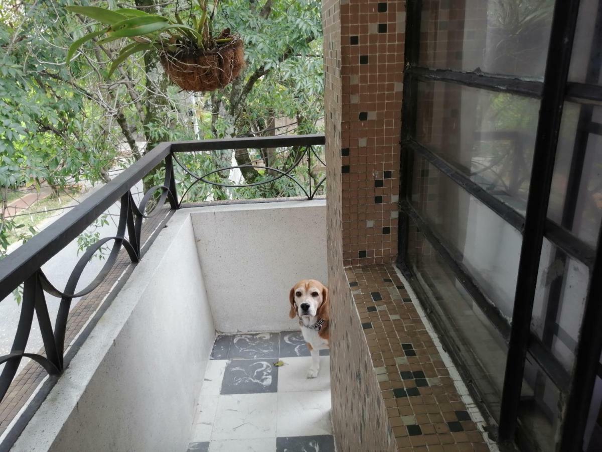 Ostello Selvática Medellín Esterno foto